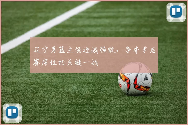 辽宁男篮主场迎战强敌,争夺季后赛席位的关键一战