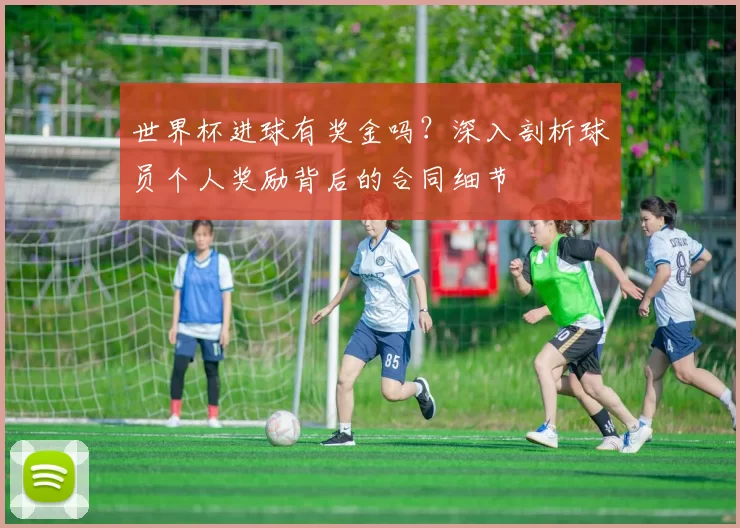 世界杯进球有奖金吗?深入剖析球员个人奖励背后的合同细节