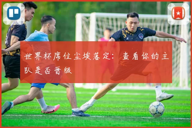 世界杯席位尘埃落定：查看你的主队是否晋级