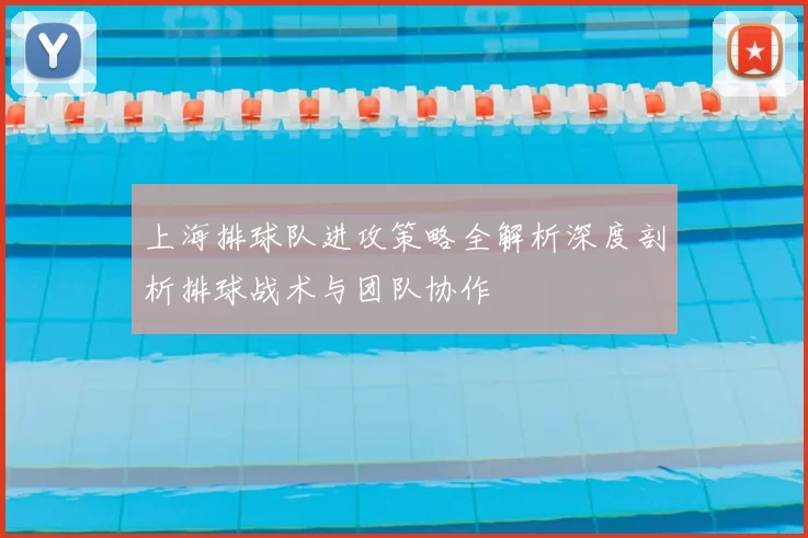上海排球队进攻策略全解析深度剖析排球战术与团队协作