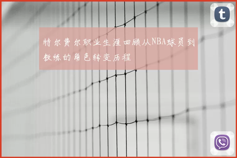 特尔费尔职业生涯回顾从NBA球员到教练的角色转变历程